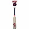 Rawlings MLB Minnesota Twins Bat And Ball Set - Softee -Rawlings Sales Store Rawlings MLB Minnesota Twins Bat and Ball Set Softee